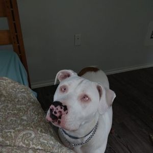 Meet your Posher, Nicholas